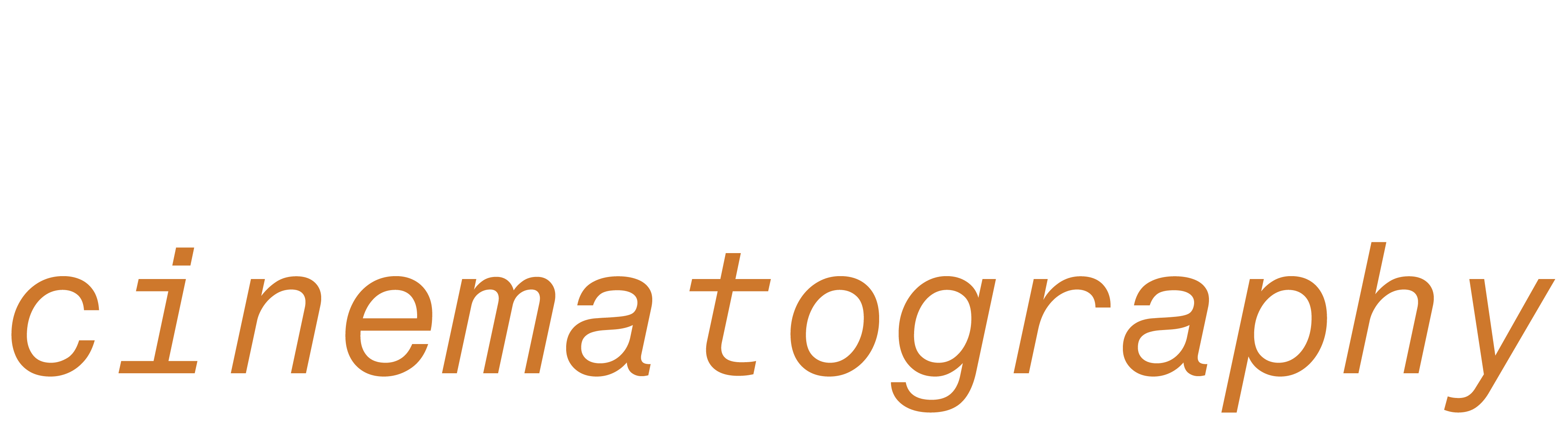 Logo Paul Namura